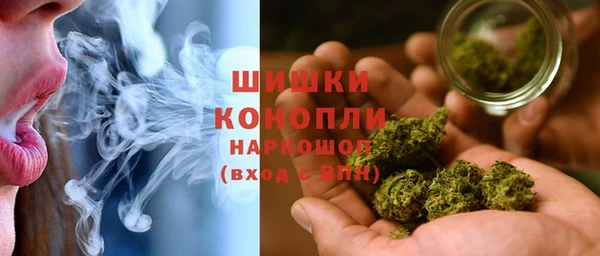 ПСИЛОЦИБИНОВЫЕ ГРИБЫ Нея