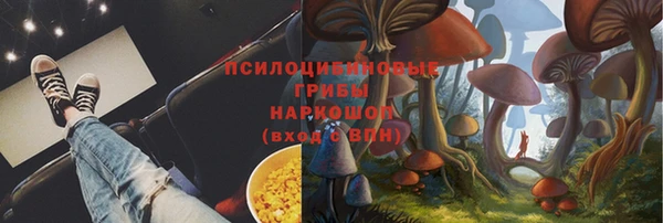 шишки Алексеевка