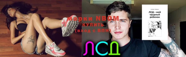 шишки Алексеевка