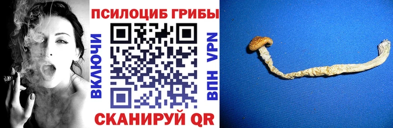 Псилоцибиновые грибы ЛСД  Салехард 